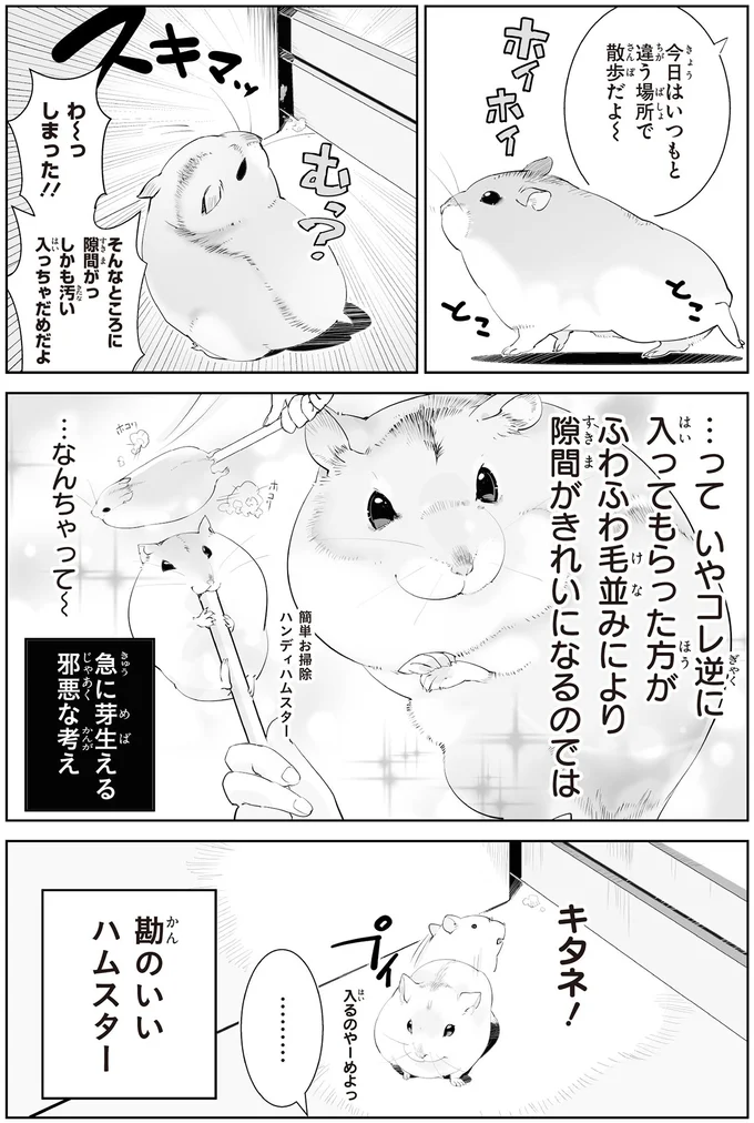 「食べて食べて」「しゃーねーな」かまいたい飼い主にハムスターは...／はむはむづくし2 13799103.webp