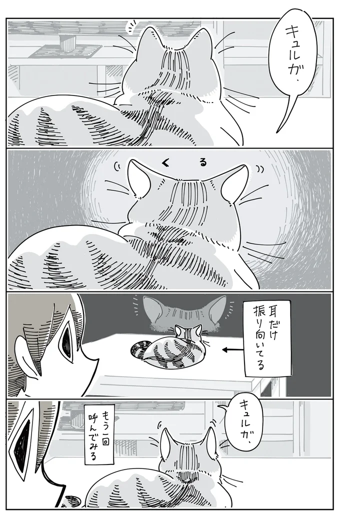 『夜は猫といっしょ』 1～3 13823708.webp