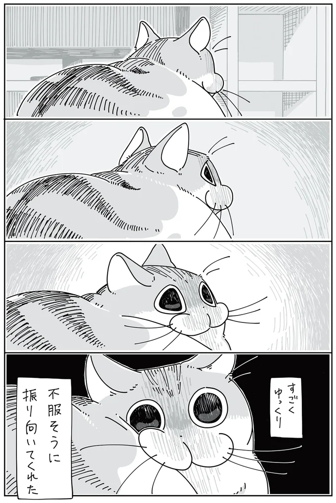 『夜は猫といっしょ』 1～3 13823709.webp