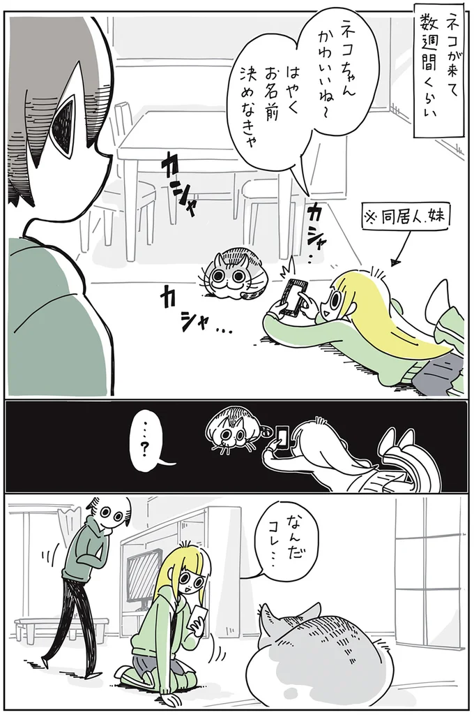 『夜は猫といっしょ』 1～3 13825253.webp