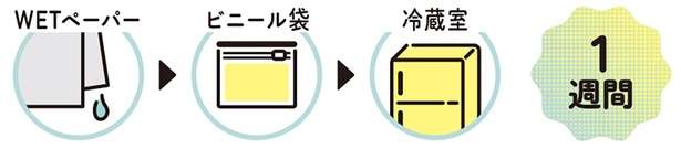 農家が教える「美味しい長ねぎの選び方」。賢い保存方法とアレンジレシピも紹介 13828394_615.jpg