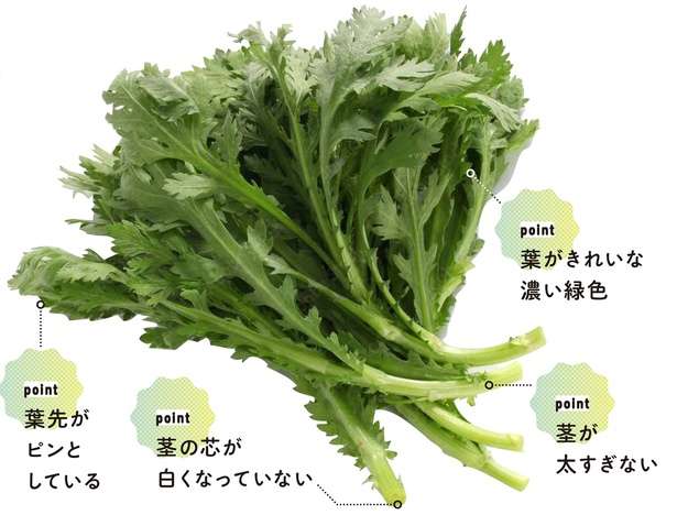 【野菜のエキスパートが教える】「春菊」の栄養素をあますことなく摂る方法 13831079_615.jpg