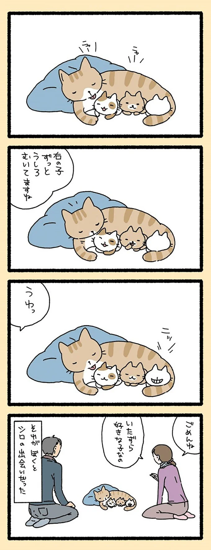 『ねこようかい』 13841066.webp