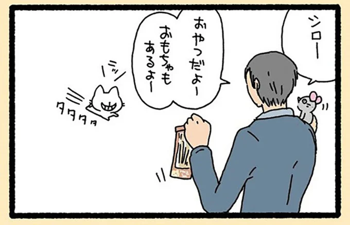 無表情だけど拗ねてますよね!? 猫が「のっぺらぼう」になった理由／ねこようかい