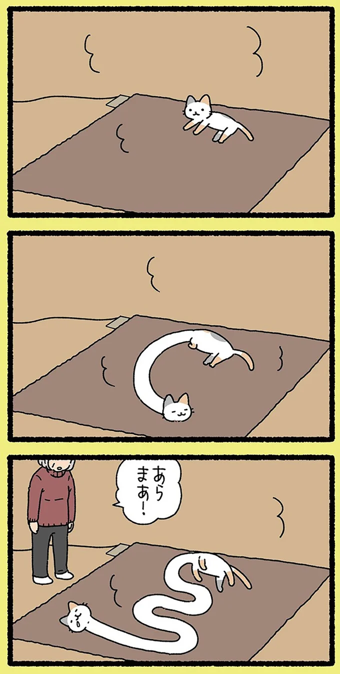 『ねこようかい』 13851219.webp