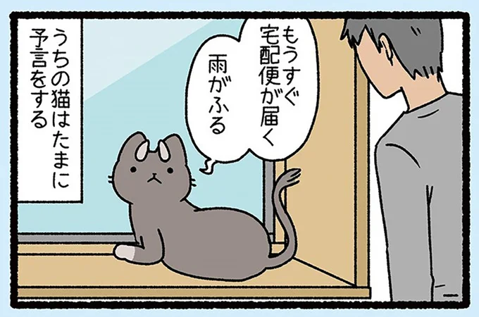 『ねこようかい』 13851232.webp