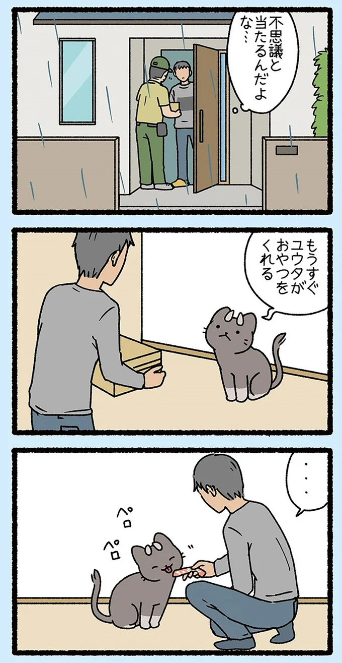 『ねこようかい』 13851233.webp