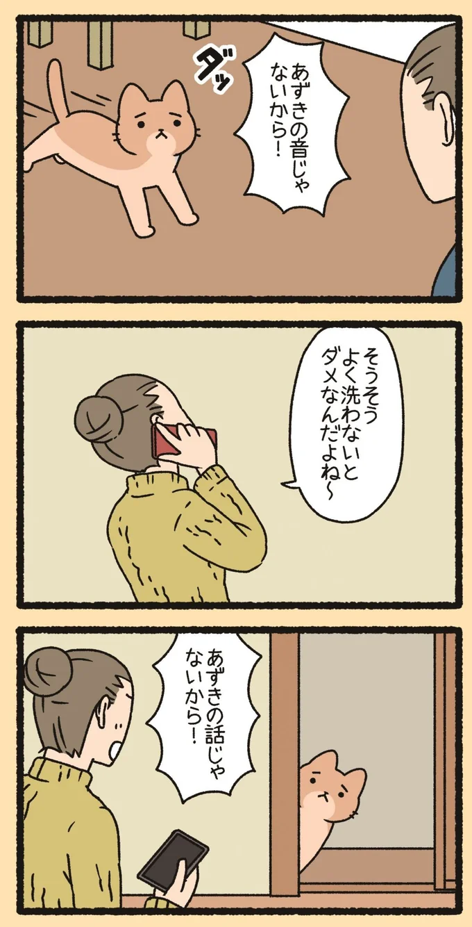 『ねこようかい』 13851270.webp