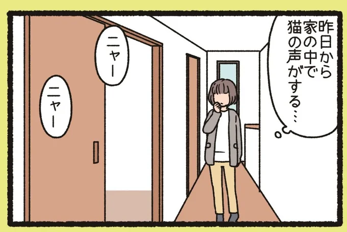 『ねこようかい』 13851297.webp