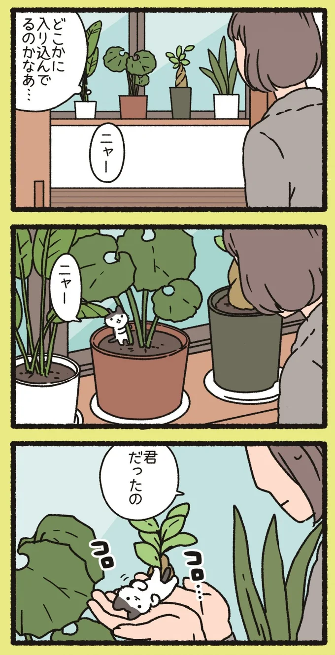 『ねこようかい』 13851298.webp