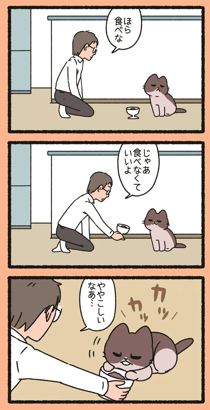 『ねこようかい』 13852605.webp