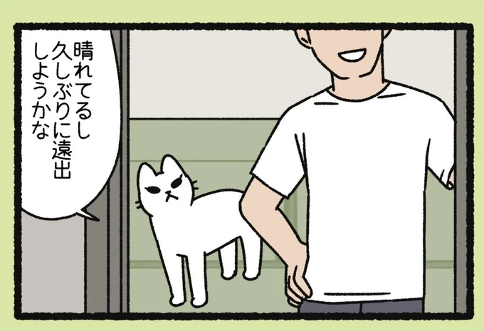 『ねこようかい』 13854894.webp