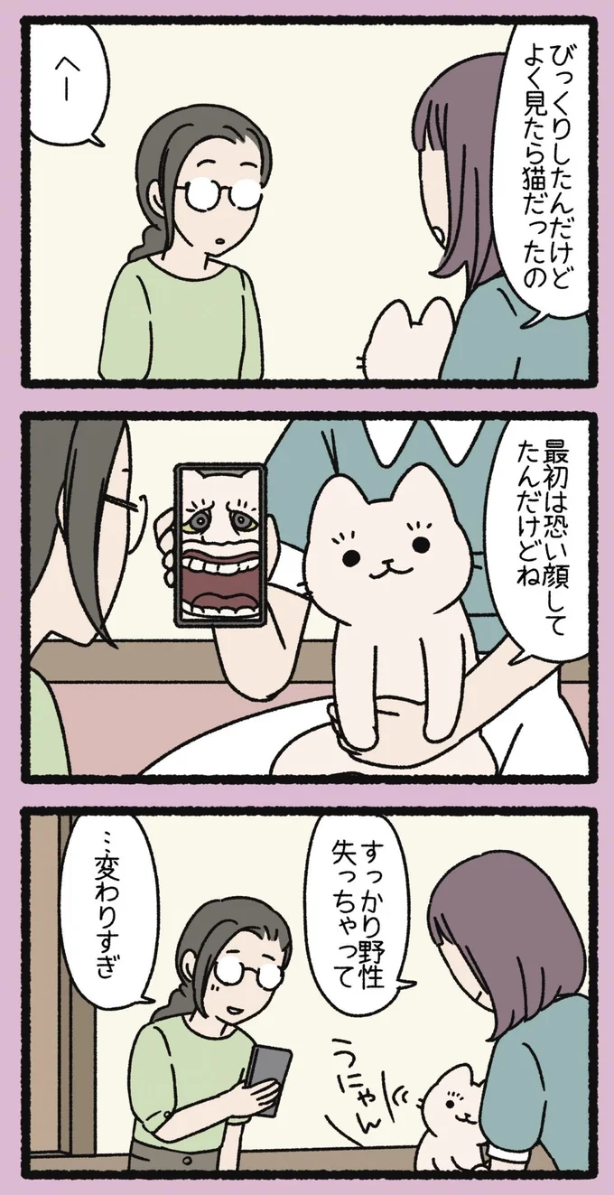 『ねこようかい』 13854932.webp