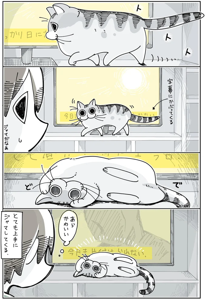 『夜は猫といっしょ』 1～3 13855199.webp