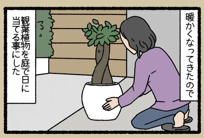 『ねこようかい』 13855395.webp