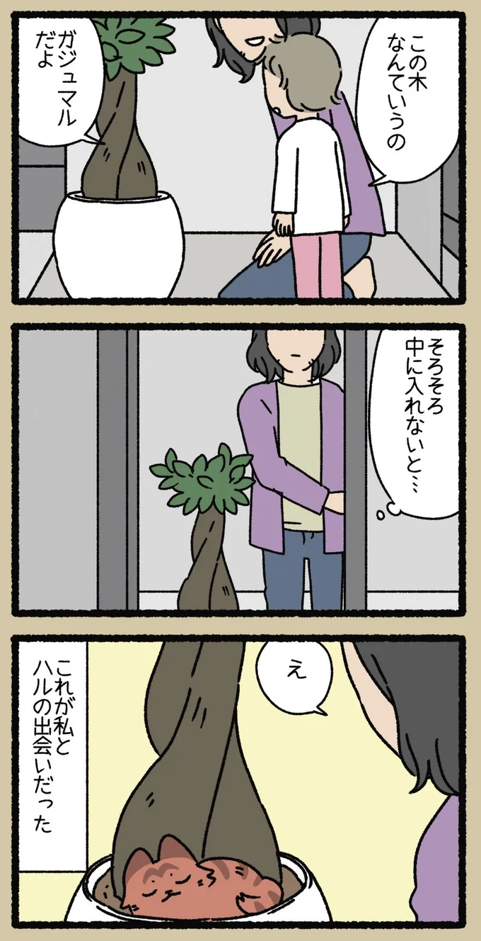 『ねこようかい』 13855396.webp