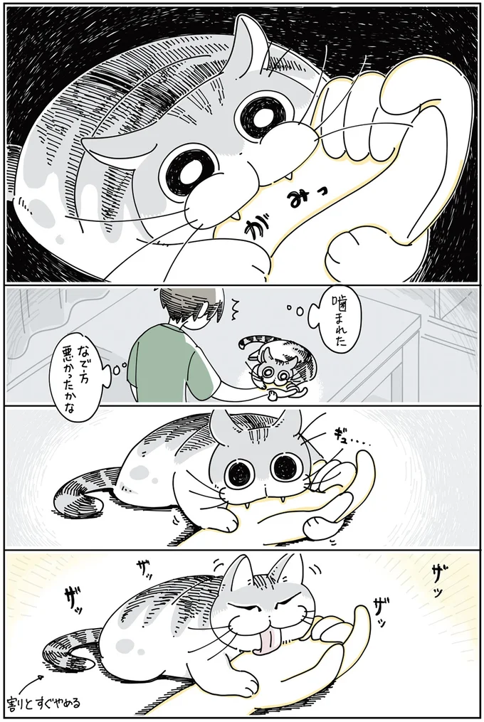 『夜は猫といっしょ』 1～3 13855556.webp