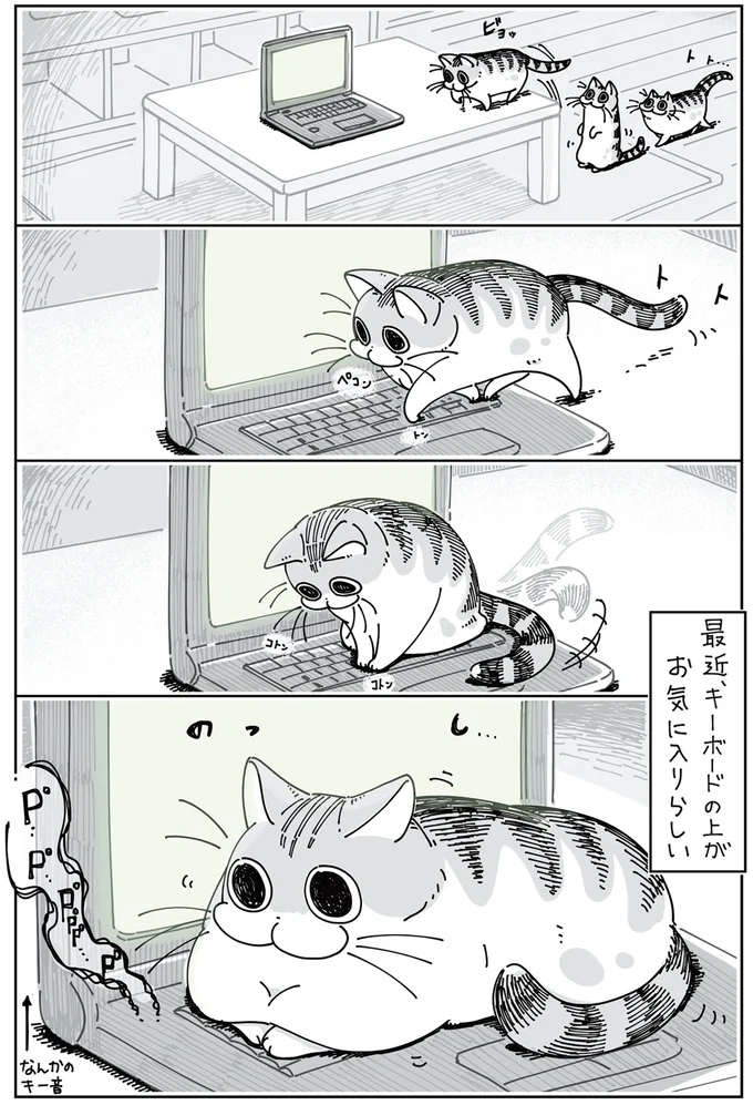 『夜は猫といっしょ』 1～3 13855562.webp