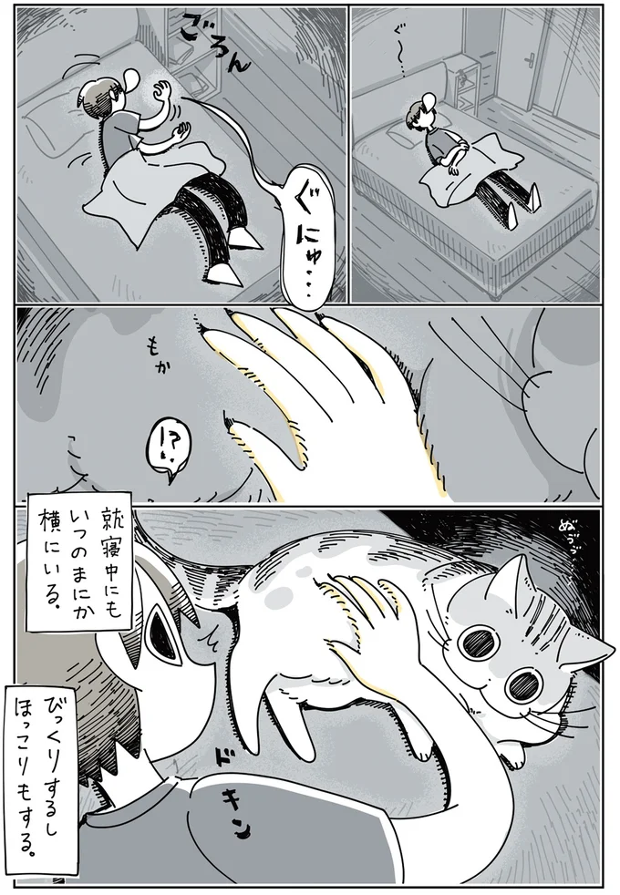 『夜は猫といっしょ』 1～3 13855570.webp