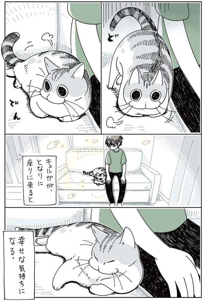 『夜は猫といっしょ』 1～3 13855591.webp