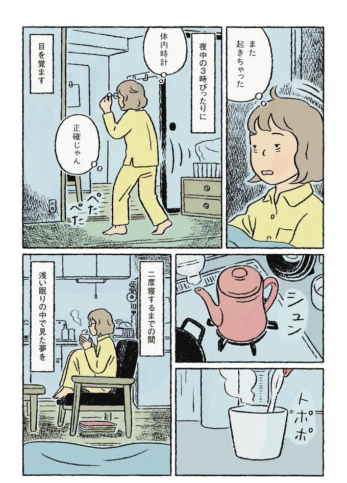 『わたしの夢が覚めるまで』 13866962.webp