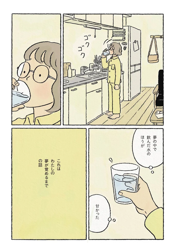 『わたしの夢が覚めるまで』 13866970.webp