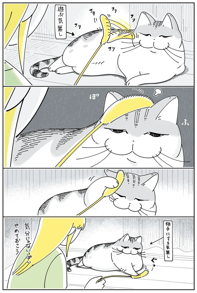 遊ぶ気分じゃないらしい猫。でも、ギュッとつかんで...なぜ？／夜は猫といっしょ4 13878538.webp