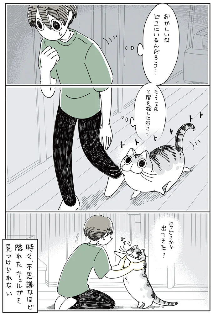 『夜は猫といっしょ』4～5 13878542.webp