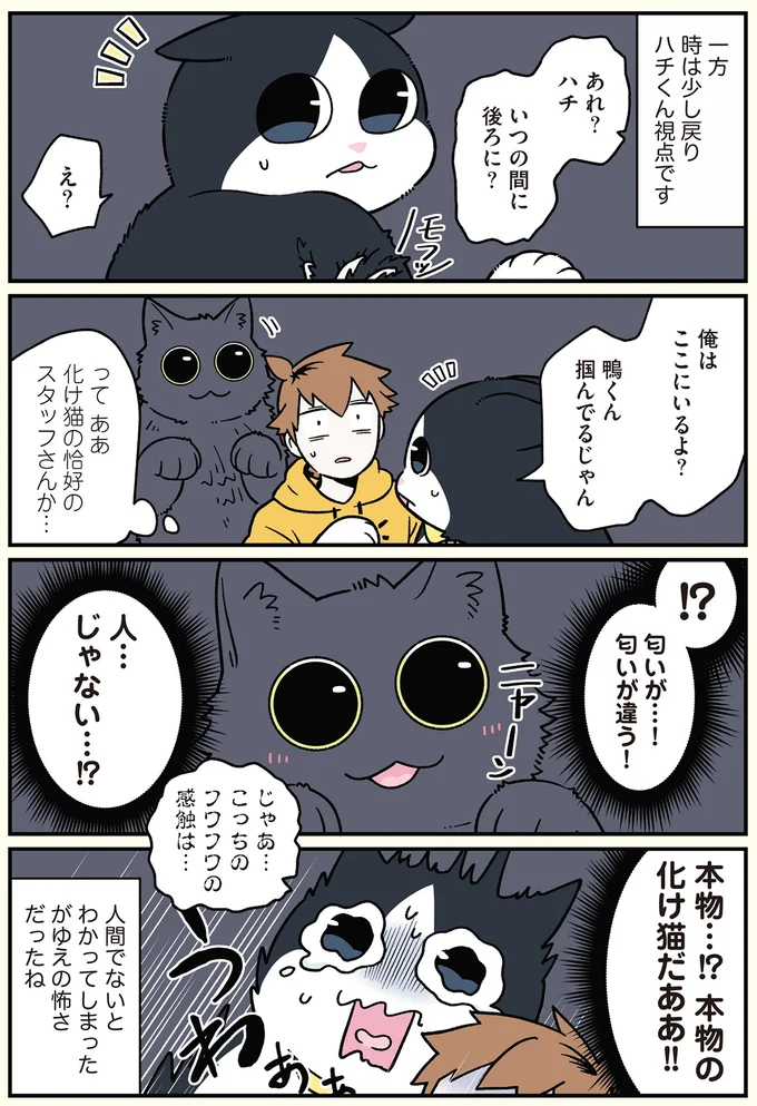 『ブラック企業の社員が猫になって人生が変わった話』4～6 13887470.webp