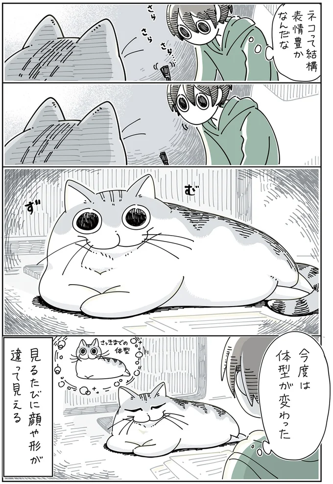 『夜は猫といっしょ』 1～3 13907425.webp