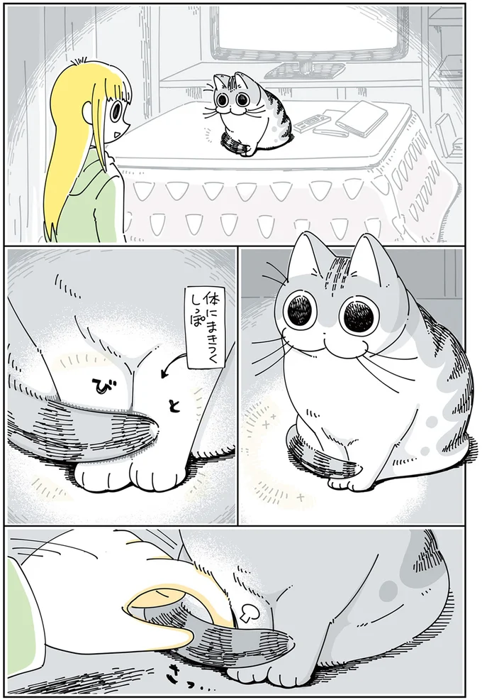 『夜は猫といっしょ』 1～3 13907428.webp