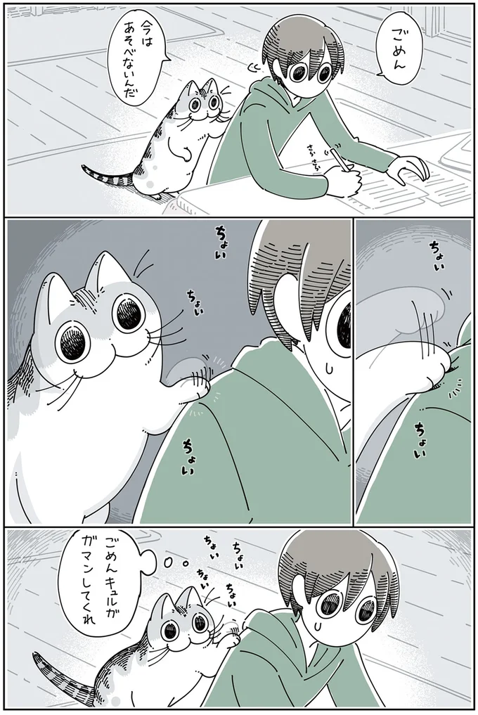 『夜は猫といっしょ』 1～3 13907434.webp