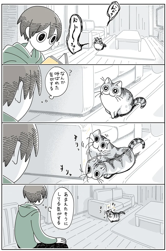 『夜は猫といっしょ』 1～3 13907455.webp