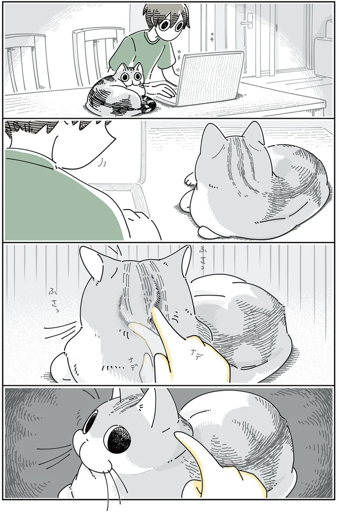 猫の後頭部にいたずら書き。気にはなるようだけど...んん？ ／夜は猫といっしょ4 13922954.webp