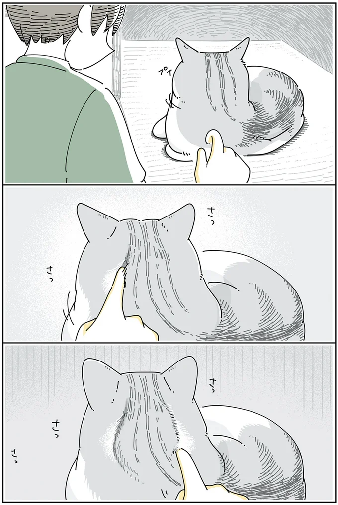 『夜は猫といっしょ』4～5 13922955.webp