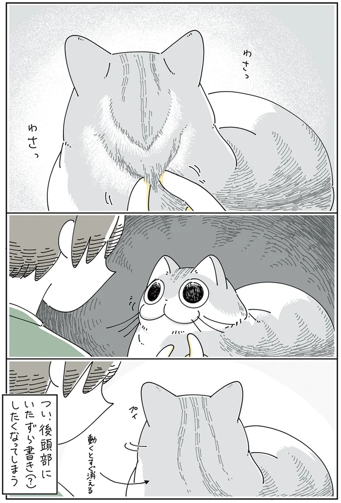 『夜は猫といっしょ』4～5 13922956.webp