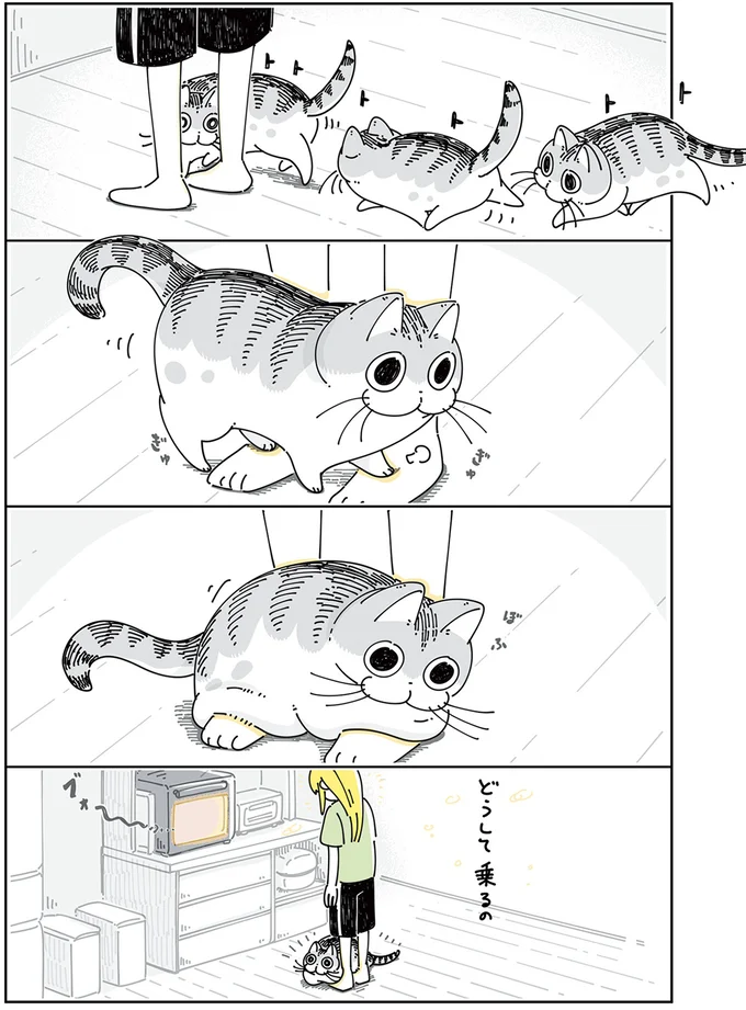 『夜は猫といっしょ』4～5 13922957.webp