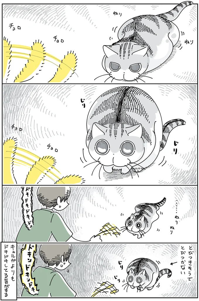 『夜は猫といっしょ』4～5 13922964.webp