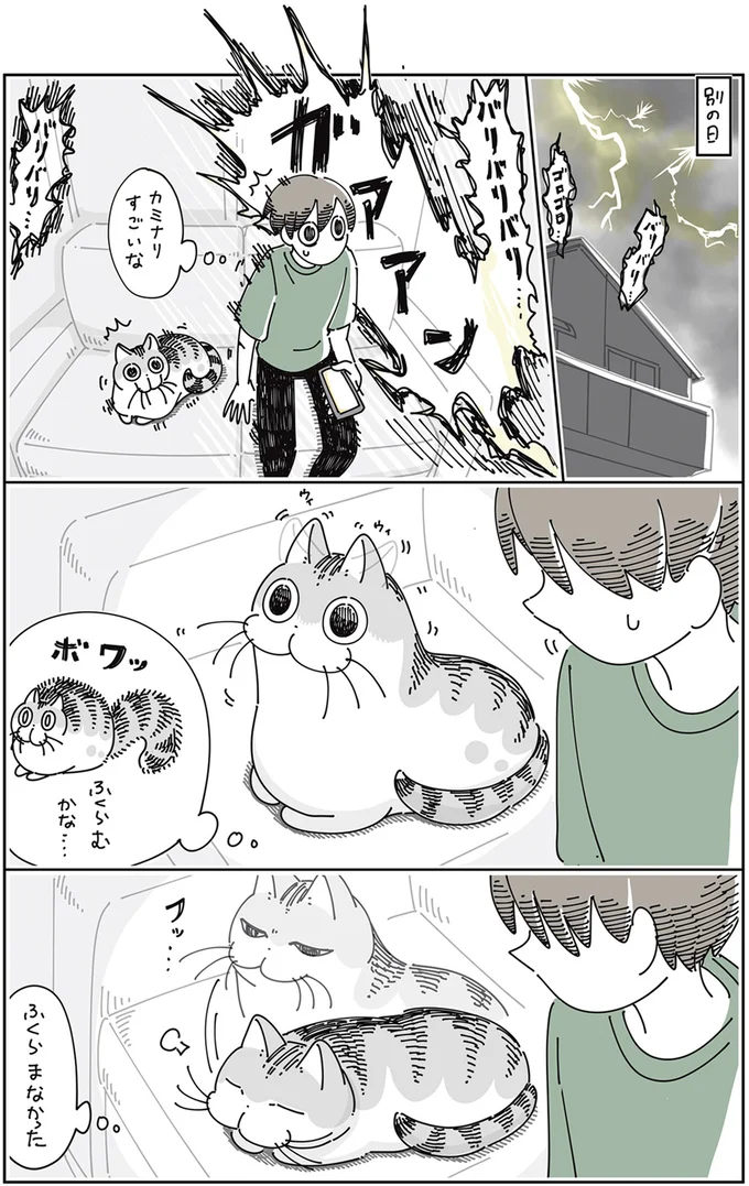 『夜は猫といっしょ』4～5 13922966.webp