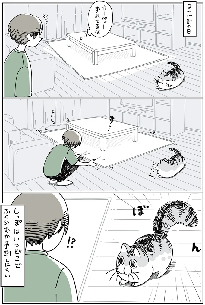 『夜は猫といっしょ』4～5 13922967.webp