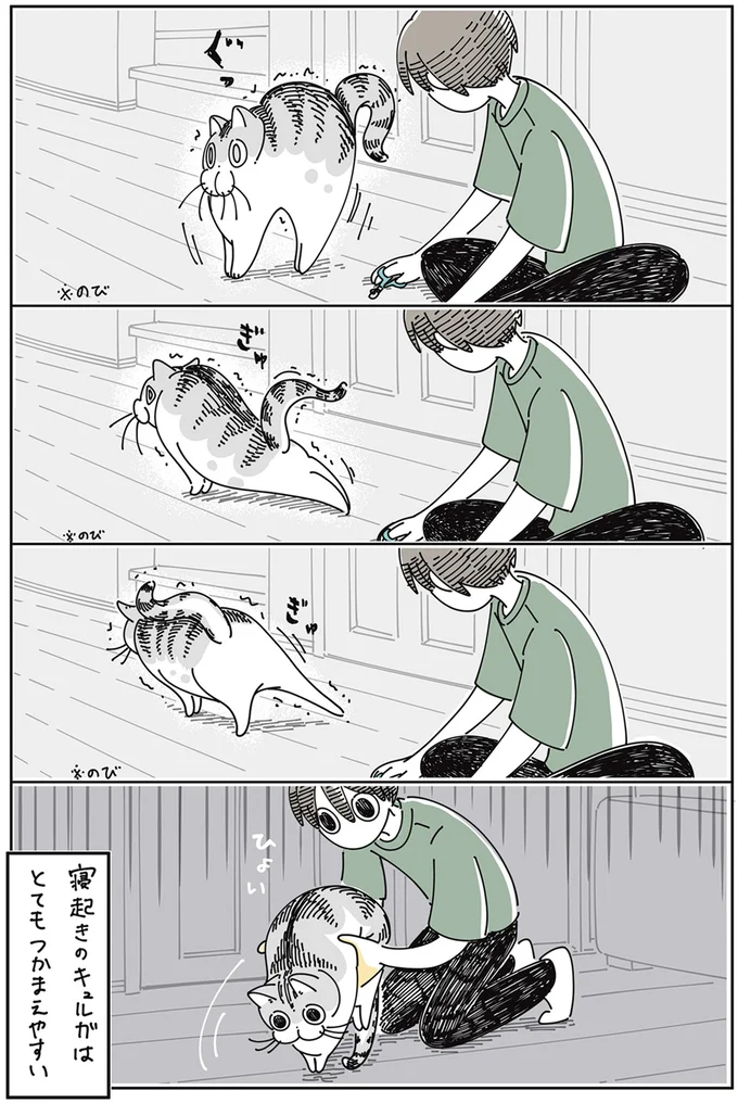 『夜は猫といっしょ』4～5 13922973.webp