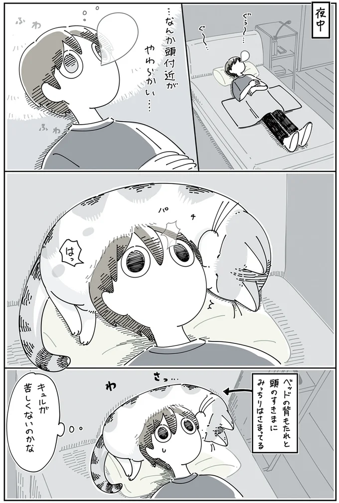 『夜は猫といっしょ』4～5 13922974.webp
