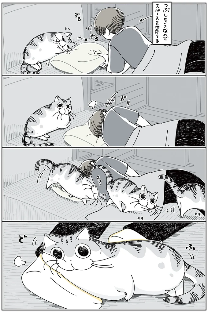 『夜は猫といっしょ』4～5 13922975.webp