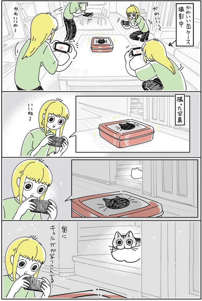 撮影してると近づいて写り込む猫。でも、自分を被写体にされると...んんん／夜は猫といっしょ4 13922980.webp