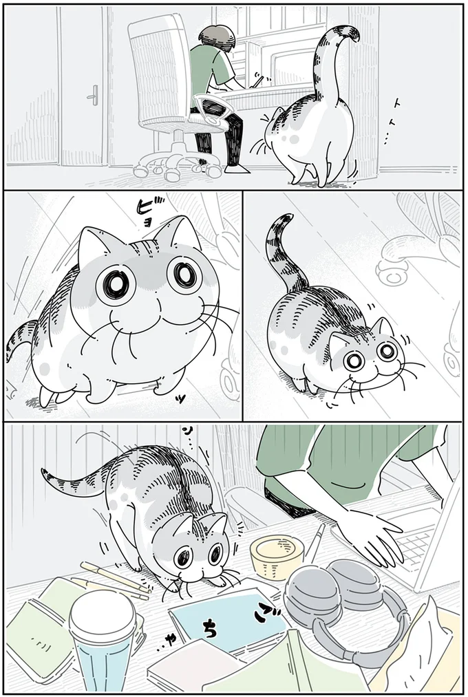 『夜は猫といっしょ』4～5 13922983.webp