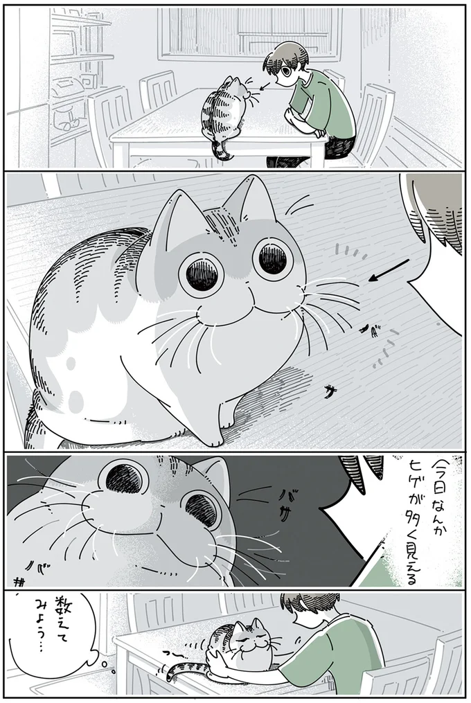『夜は猫といっしょ』4～5 13922990.webp