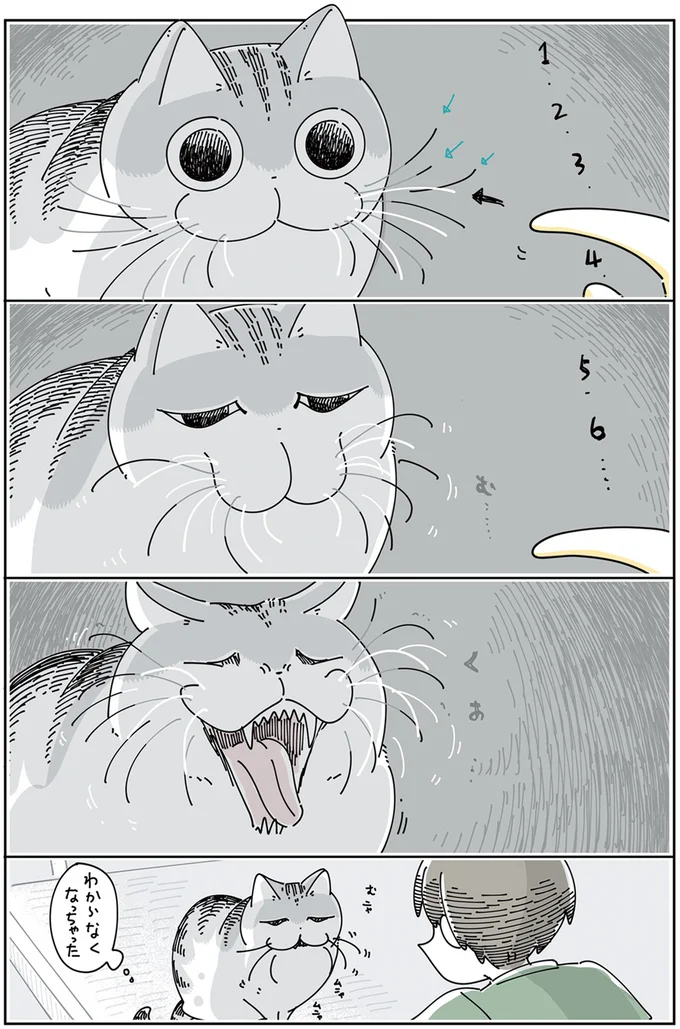 『夜は猫といっしょ』4～5 13922991.webp