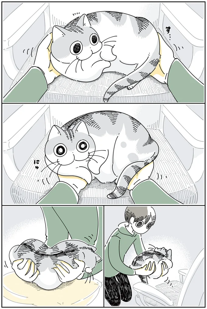 『夜は猫といっしょ』4～5 13922999.webp