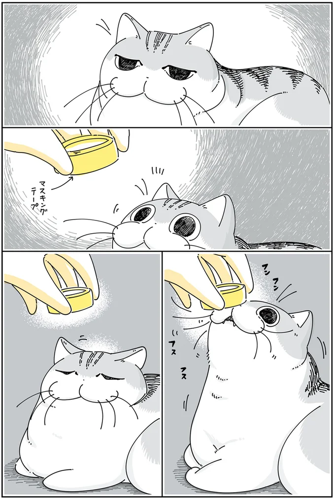 「いつのまに？」猫がドアをこじ開け、いつの間にかこんなことに／夜は猫といっしょ4 13923004.webp