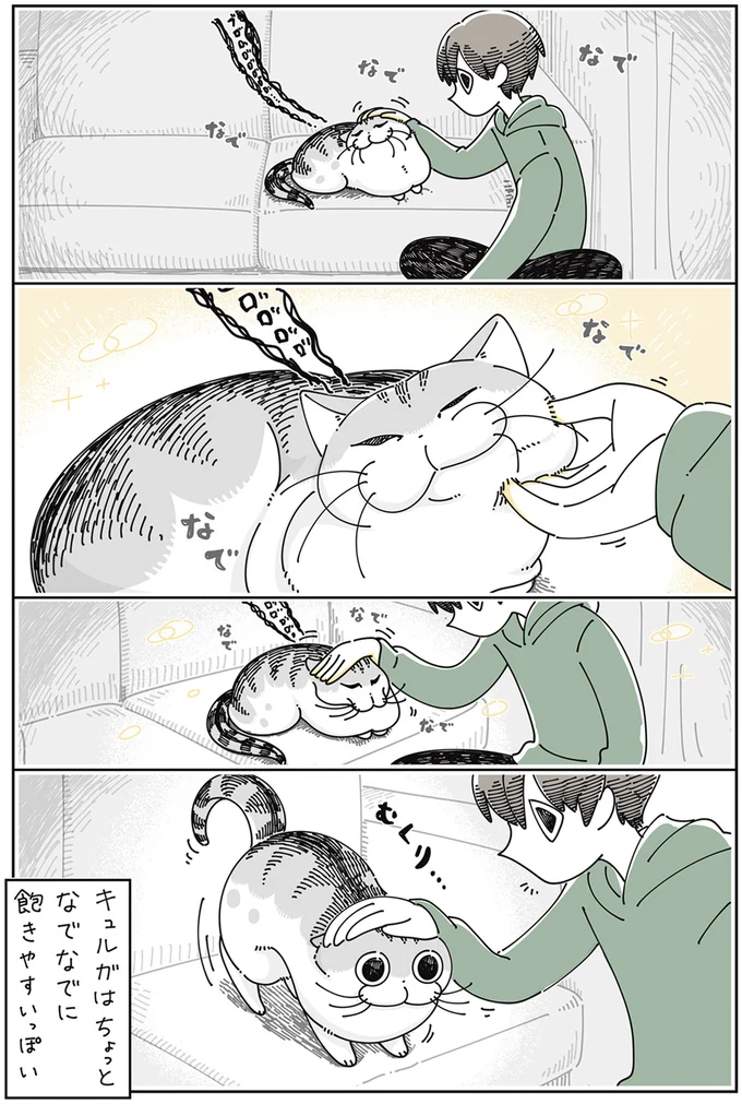 すすすっ...うちの猫はなでなでに飽きてすぐ移動。なのに直後...ふふ/夜は猫といっしょ4 13923021.webp